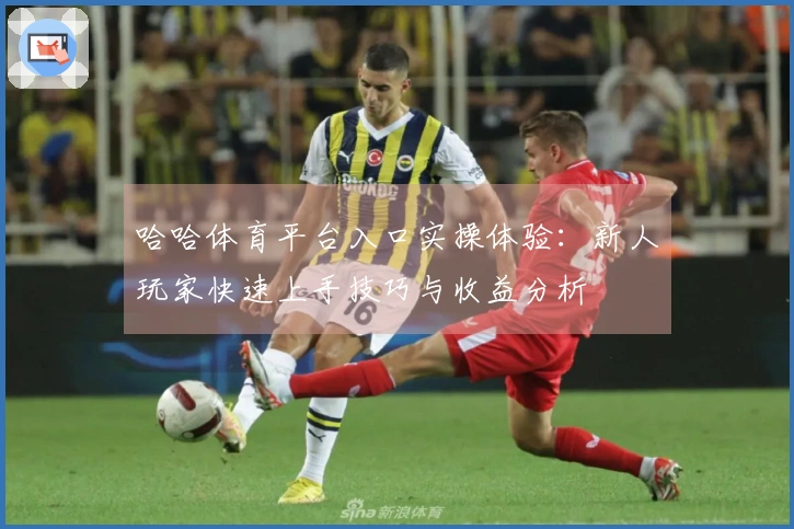 哈哈体育平台入口实操体验：新人玩家快速上手技巧与收益分析