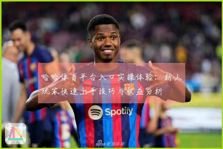 哈哈体育平台入口实操体验：新人玩家快速上手技巧与收益分析